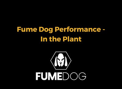 Fume Dog Performance - In the Plant